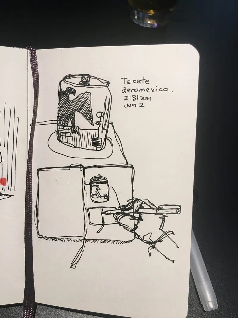 Dibujo de línea continua del vuelo a México
